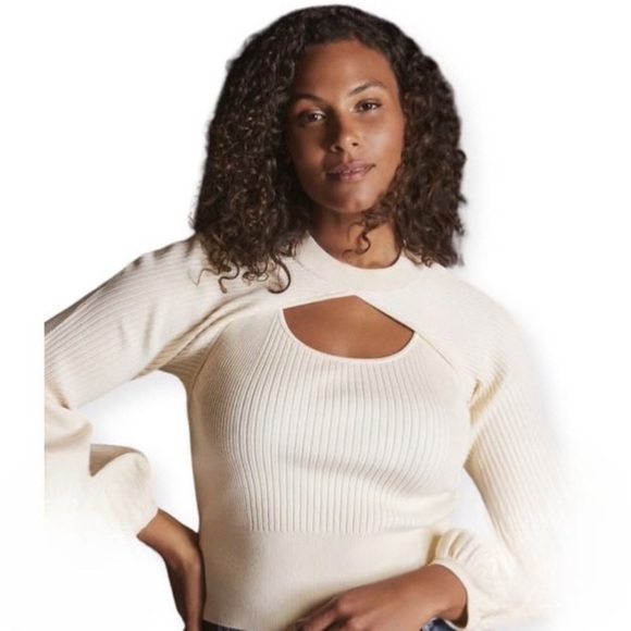 Anthropologie Maeve Courtney Twofer Pullover‎ Sweater Plus Size 3X - Picture 1 of 11